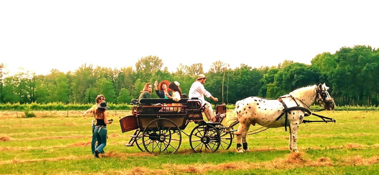 فيلا La Regina Del Bosco Rivignano المظهر الخارجي الصورة
