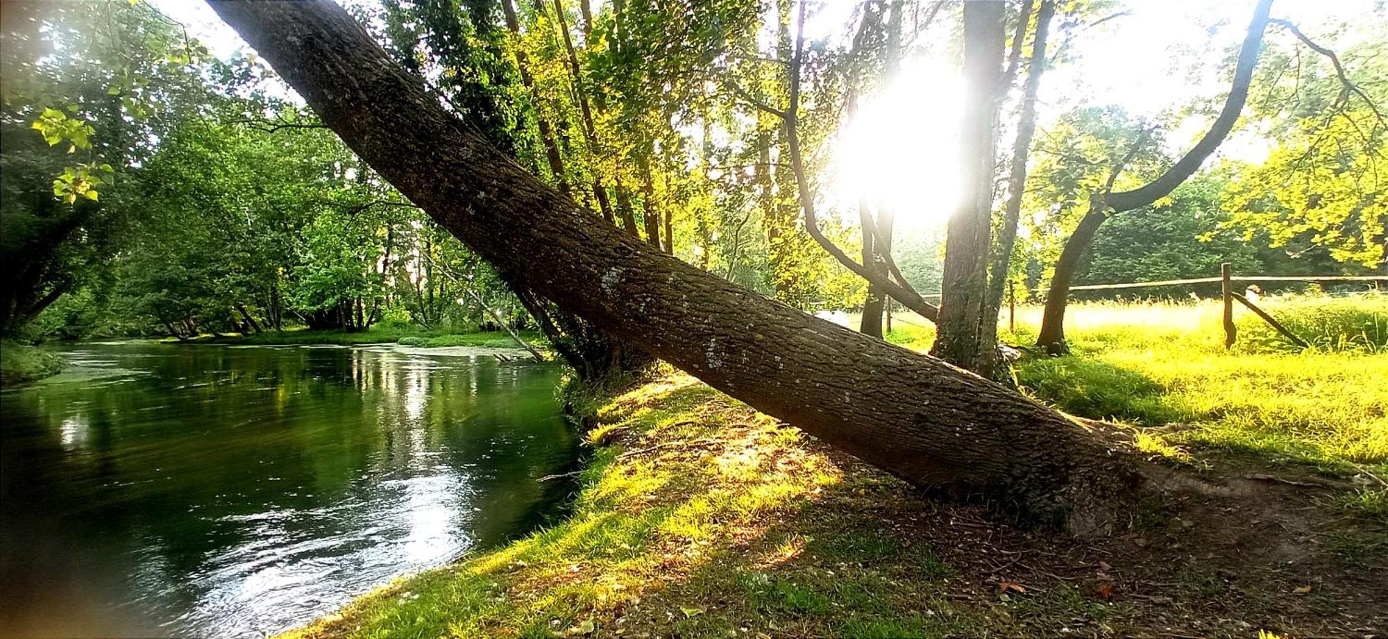فيلا La Regina Del Bosco Rivignano المظهر الخارجي الصورة