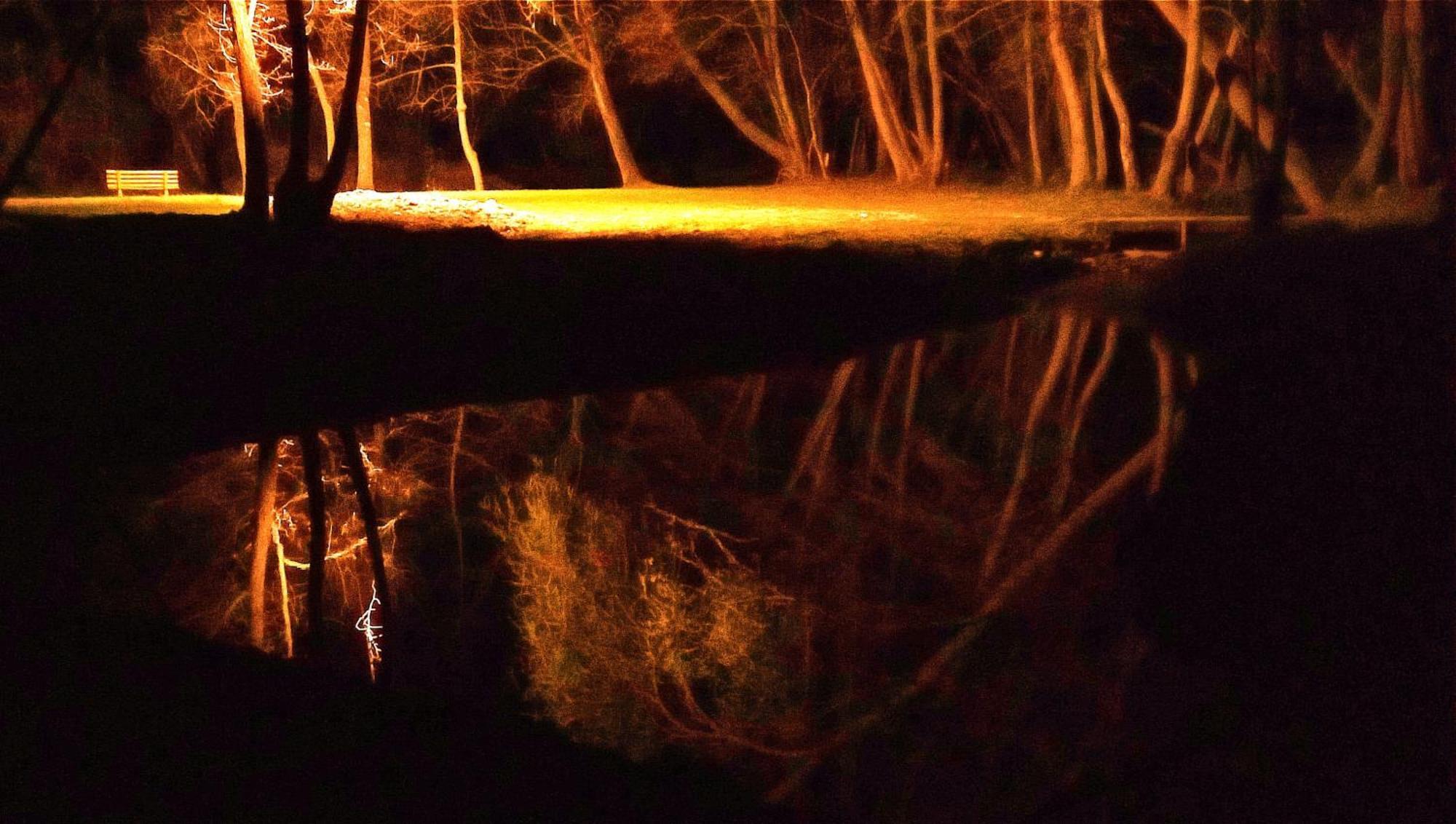 فيلا La Regina Del Bosco Rivignano المظهر الخارجي الصورة
